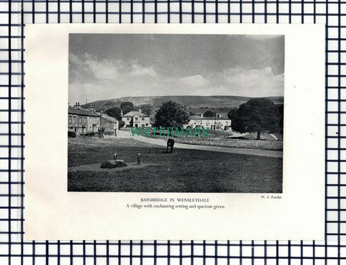 Bainbridge Wensleydale / York Walls - c.1948 Cutting / Print
