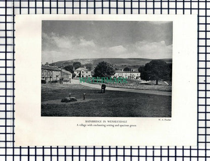 Bainbridge Wensleydale / York Walls - c.1948 Cutting / Print