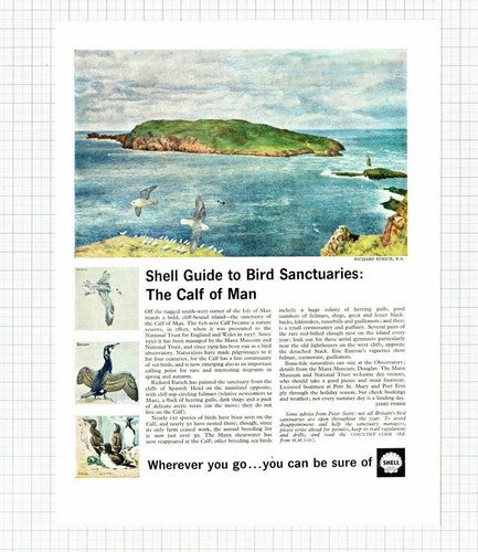 (6004) The Calf Of Man Bird Sanctuary Shell Advert  - 1965 Clip