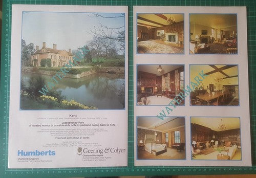 (X524) Glassenbury Park Kent House Sale Advert - 1981 Clip