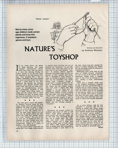 (5849) Nature's Toyshop Article By Anthony Wootton - 1972