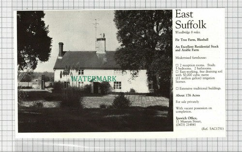 C2990) Fir Tree Farm Blaxhall East Suffolk House Sale Advert - 1981 Clip