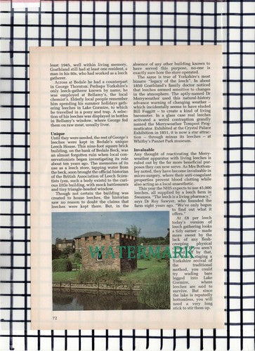 C6044) Bedale Leech House  - 1990s Article