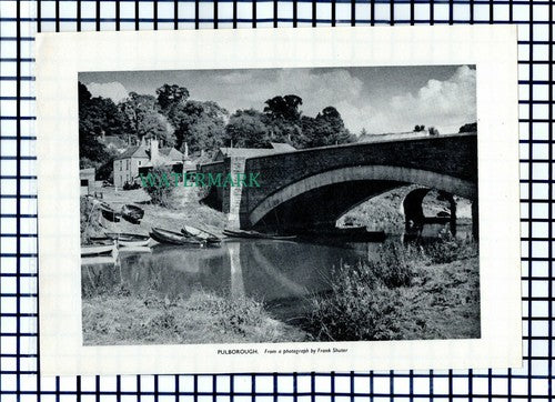 (8088) Pulborough Sussex - 1953 Cutting