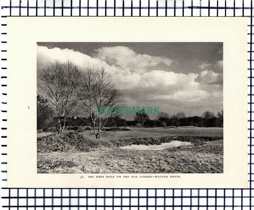 (7467) Banstead Heath Windmill / Walton Heath Golf   -  1949 Print / Cutting