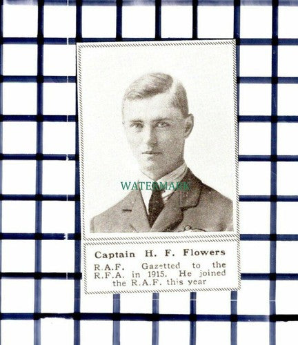 C6493) Captain H F Flowers RAF   - 1918  Small Cutting