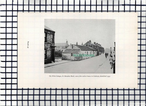 C6558) White Cottages St Barnabus Road Middlesbrough Exchange   1960s Book Print