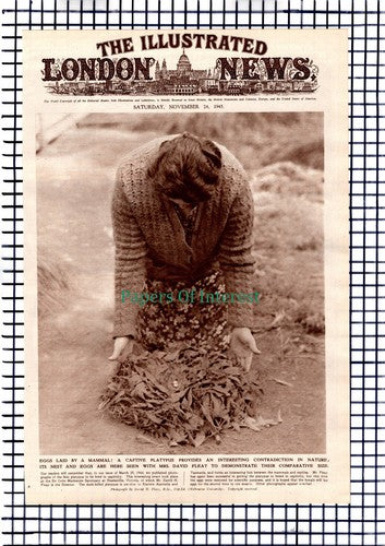 David Fleay Platypus Colin Mackenzie Sanctuary Healesville -1945 Article / Print