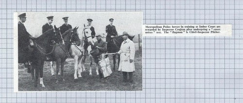 Imber Court Police Horses Inspector Coulton Pilcher -1968 Small News Clipping