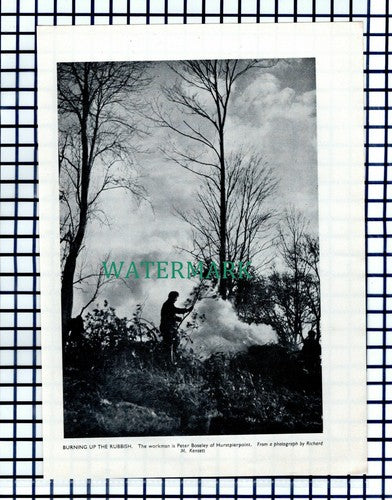 (8089) Peter Boseley Hurstpierpoint Sussex - 1953 Cutting