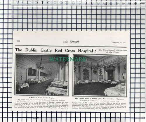 Dublin Castle Red Cross Hospital World War One - 1915 Cutting