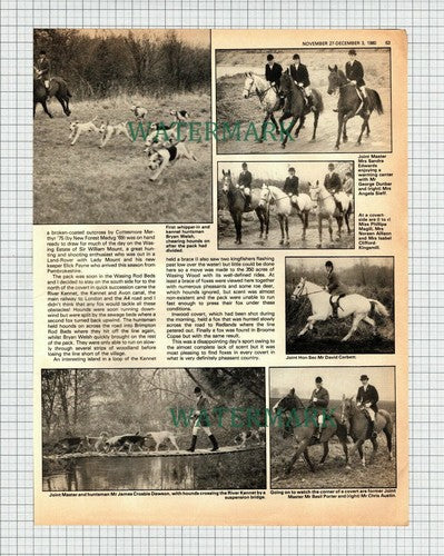 X1856) The Vine And Craven Hunt - 1980 Article