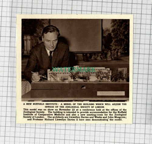 C2312) Nuffield Institute Medicine Model Richard Llewellyn Davies - 1961 Clip