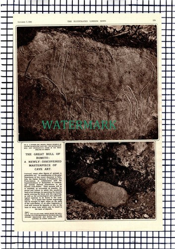 The Great Bull Of Romito Italy - 1961 Article