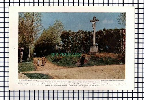 (8038) Pithiviers France / Les Champeaux-en-Auge    - 1940 Cutting