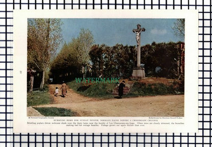 (8038) Pithiviers France / Les Champeaux-en-Auge    - 1940 Cutting