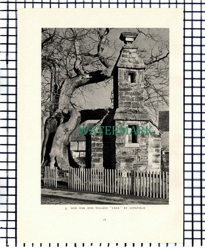 (7436) Outwood Windmills Surrey / Lingfield  - 1949 Print / Cutting