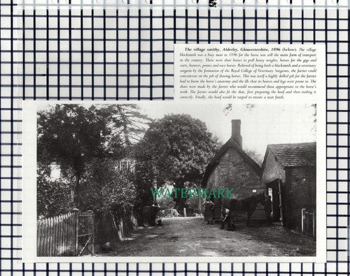 (7861) Alderley Gloucestershire Blacksmith  - 1980s Cutting