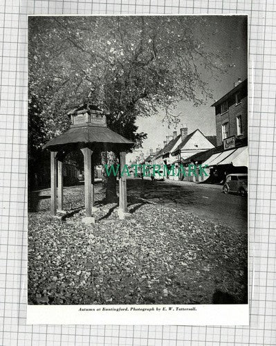 C1808) Buntingford Hertfordshire  E W Tattersall - 1962 Clip
