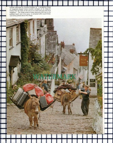 (7538) Clovelly Donkeys  - 1970s Cutting