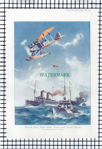 (X970) British Food Ships C M Padday WW1 - c.1919 Print