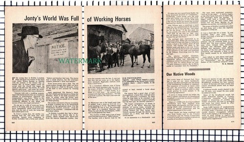 (8371) Kirkby Lonsdale Jonty Wilson Blacksmith - 1978 Small Article