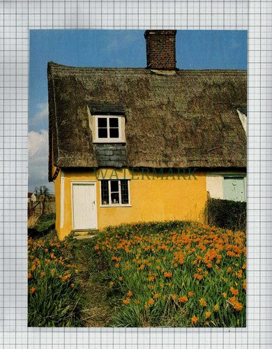 LITTLE SAMPFORD Essex Cottage - c.1982 Print / Cutting