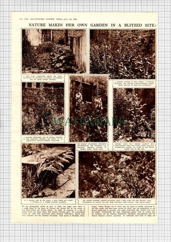 New Bond Street Bruton Street London Bomb Site War WW2 -1945 Picture Article