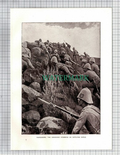 (5523) PAARDEBERG Canadians - c.1910 Print