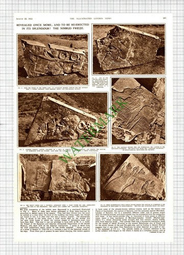 Professor M E L Mallowan Nimrud Frieze Assur-Nasir-Pal -1952 Article / Print