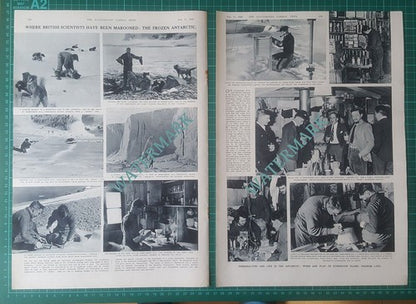 Marguerite Bay Base Stonington Island Graham Land - 1950 Article
