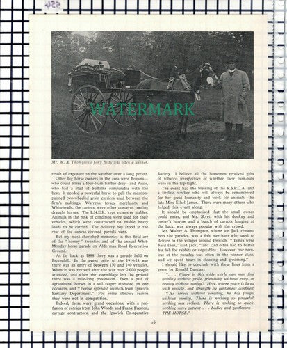 Ipswich Dockland Horses Rayner's Yard Walter Thompson Donald Roper -1974 Cutting