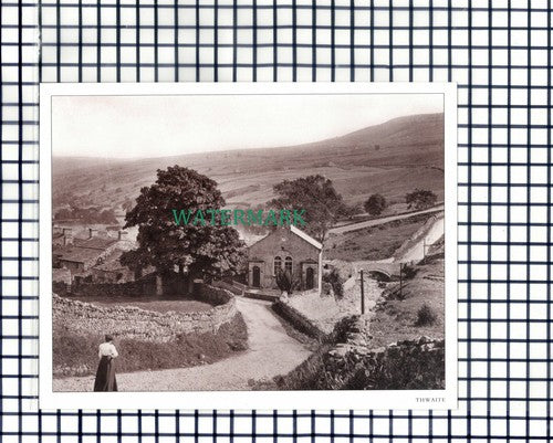 (6877) Thwaite   - Cutting