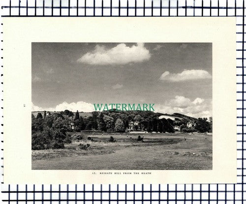 Reigate Heath / Reigate Hill Surrey - 1949 Print / Cutting