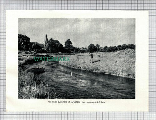 (6574) River Cuckmere Alfriston Sussex - 1954 Cutting