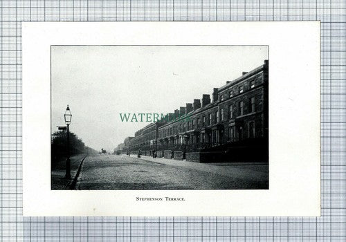 C7391) PRESTON Stephenson Terrace - 1902 Book Print
