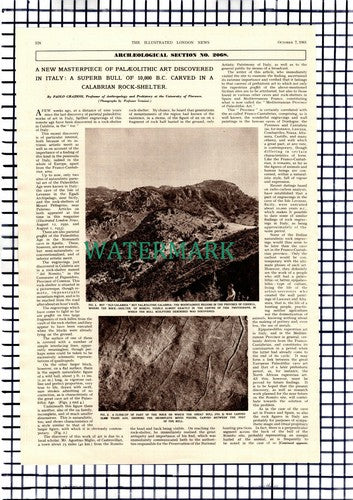 The Great Bull Of Romito Italy - 1961 Article