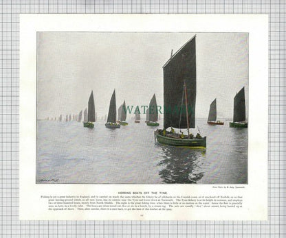 X1876) Dolcoath Tin Mine Cornwall / Tyne Fishery Herring Boats  - c.1900