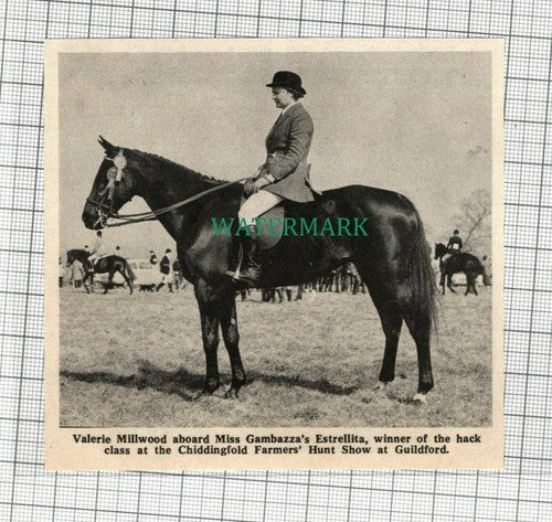 C2100) Valerie Millwood Gambazza Estrellita Chiddingford Farmers Hunt -1969 Clip