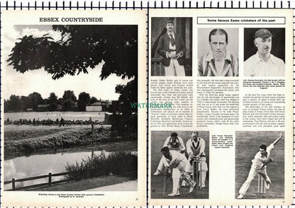 Essex County Cricket Club Kortright Ken Farnes - 1976 Article / Print