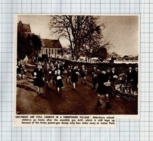 Alderbury Shropshire School Gas Masks Loton Park -   1950 Clipping