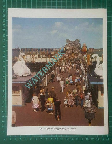 Southend Essex Pier  -1964 Clipping/ Print