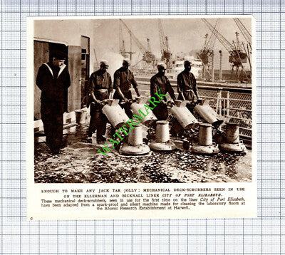 Ellerman and Bicknall Ship CITY OF PORT ELIZABETH   - 1953 Small Cutting