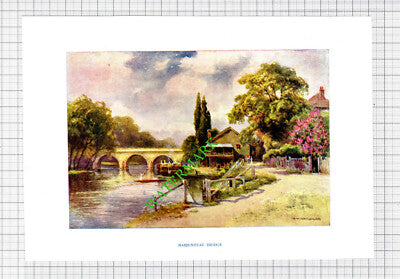 Maidenhead Bridge   - c.1910 Print