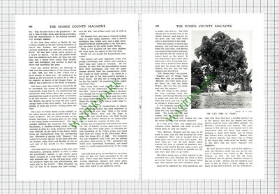 9779)  Peter Gott Street Sussex - 1930 Article
