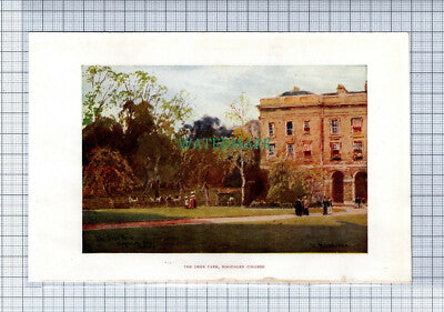 C4100) OXFORD Magdalen Tower / The Deer Park - SMALL c.1900 Book Print