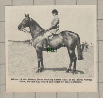 C3081) Brother Bill Miss McCullen Watney Mann Royal Norfolk Horse Show - 1969