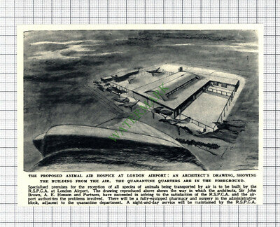 Proposed Animal Air Hospice London Airport RSPCA Sir John Brown - 1950 Cutting
