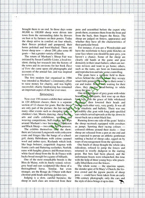 Masham Yorkshire Sheep Fair - 1996 Article