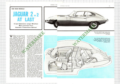 Jaguar 2+2 Car Review - 1966 Article